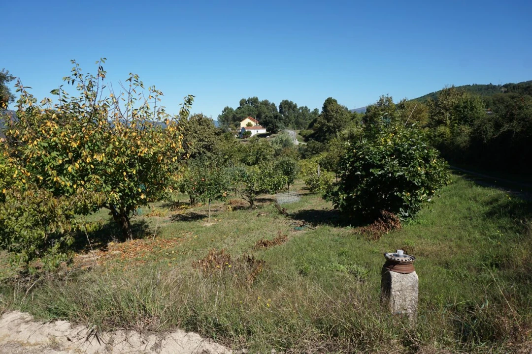 Quinta T0 para Venda em Penso Foto 8