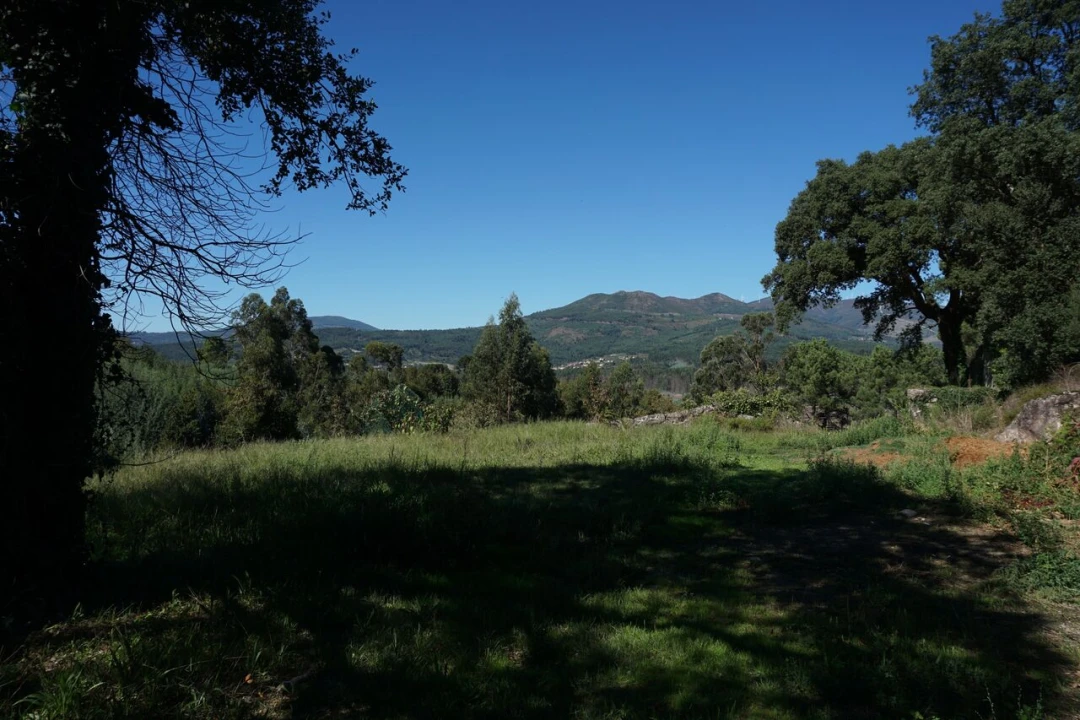 Quinta T0 para Venda em Penso Foto 12