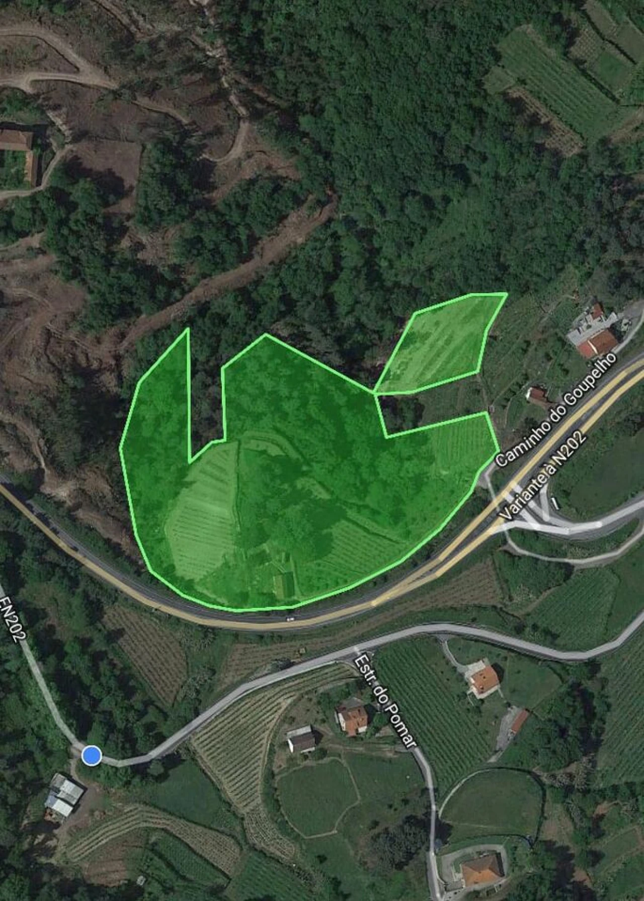 Quinta T0 para Venda em Penso Foto 13