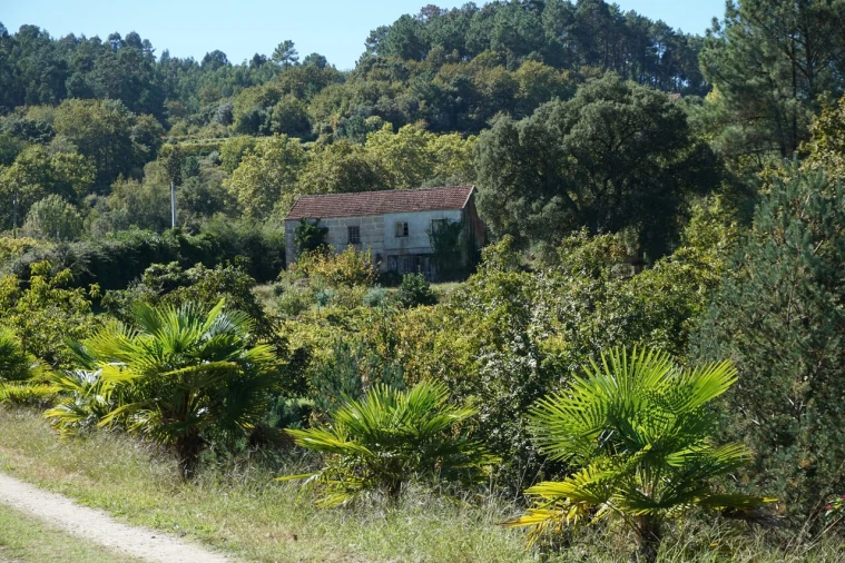Quinta T0 para Venda em Penso Foto 3