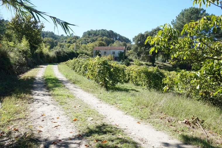 Quinta T0 para Venda em Penso Foto 5