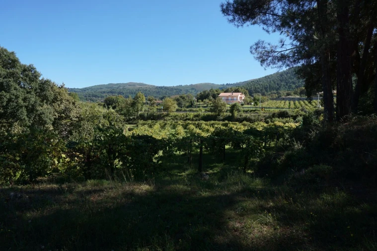 Quinta T0 para Venda em Penso Foto 10