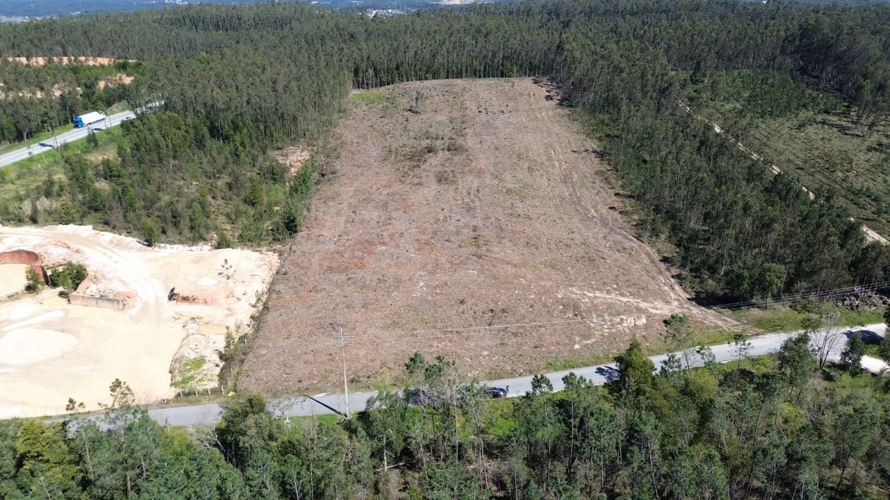 Terreno para Venda em Redinha Foto 5