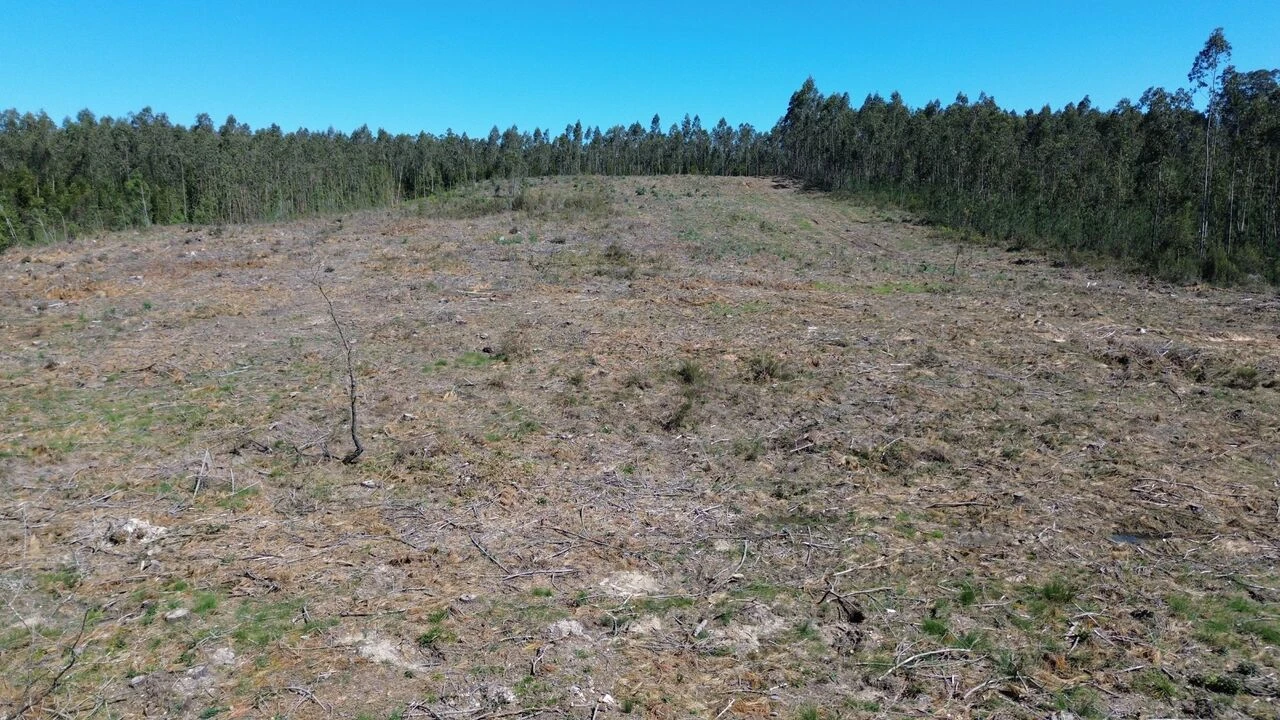 Terreno para Venda em Redinha Foto 6