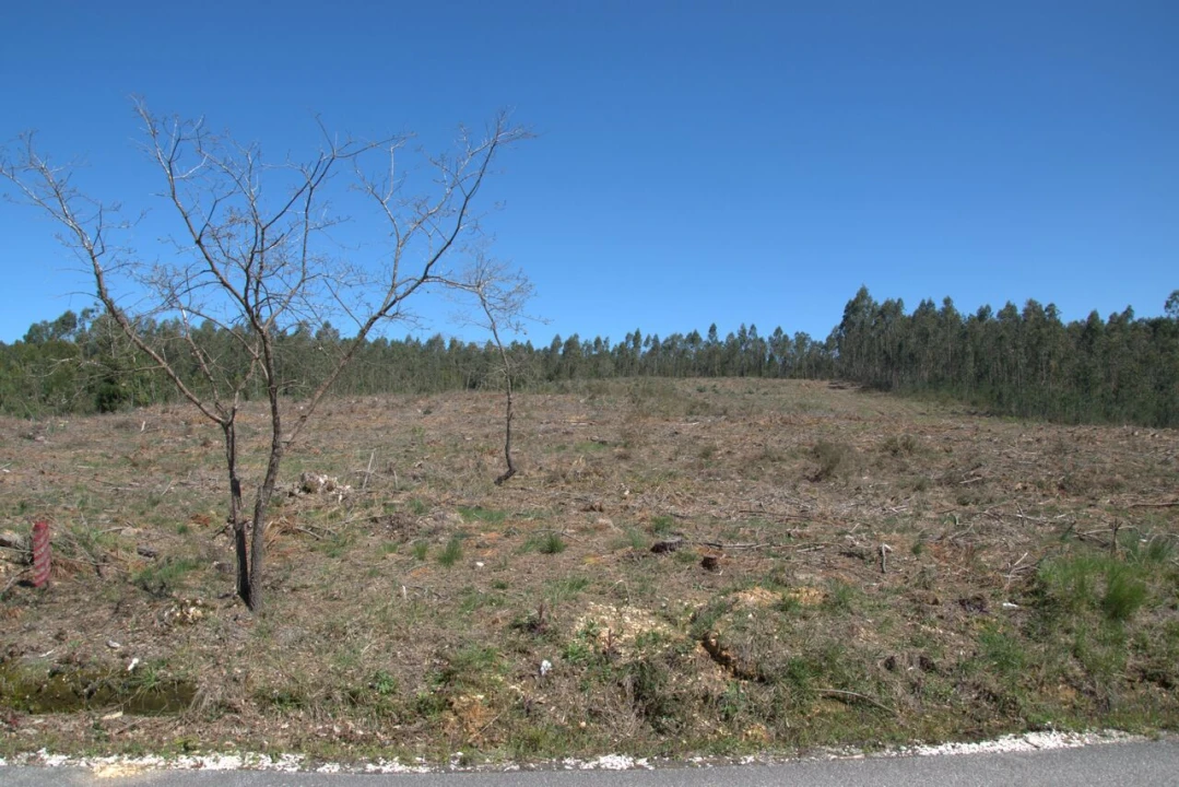 Terreno para Venda em Redinha Foto 8
