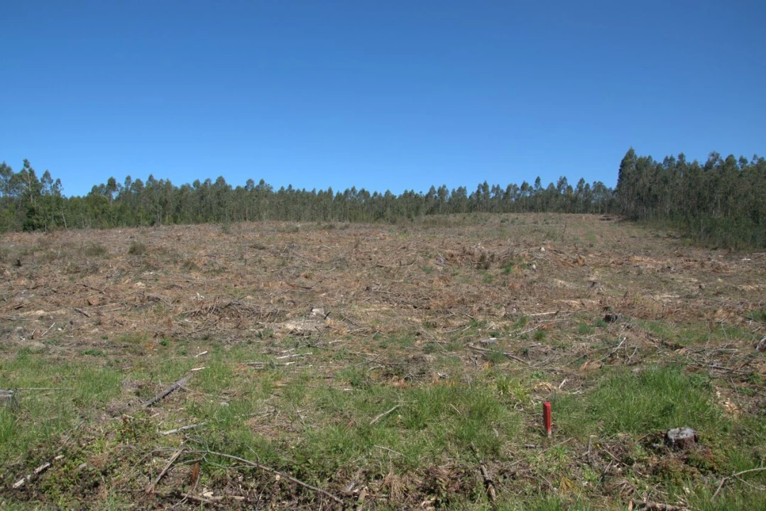 Terreno para Venda em Redinha Foto 10