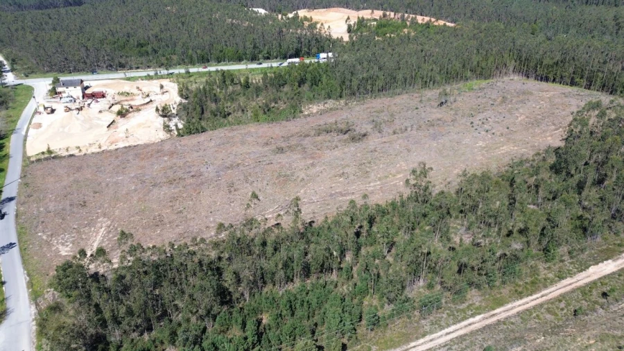 Terreno para Venda em Redinha Foto 3