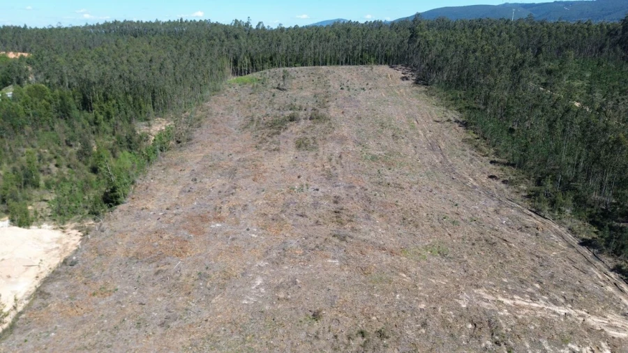 Terreno para Venda em Redinha Foto 7