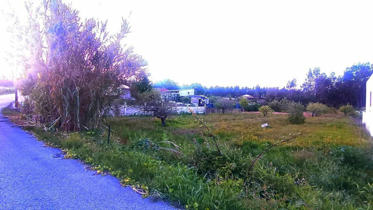 Terreno para Venda em Marinha Grande Foto 5