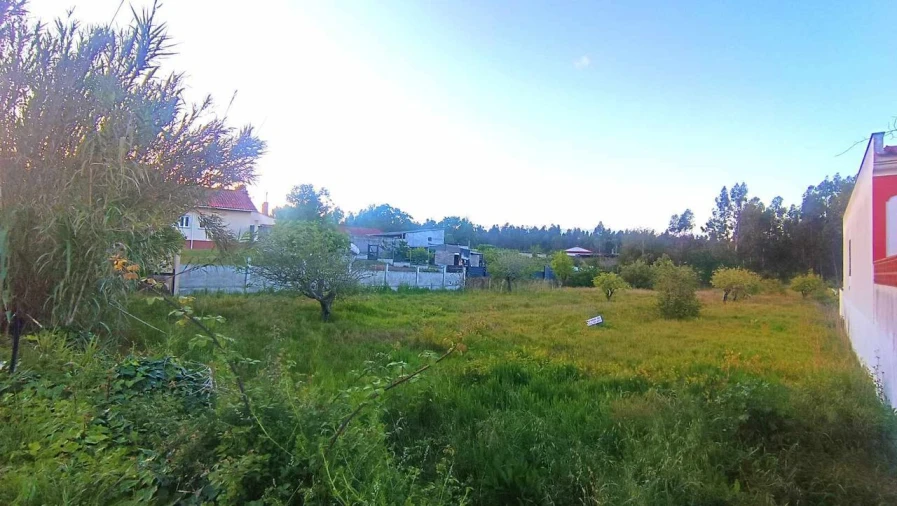 Terreno para Venda em Marinha Grande Foto 4