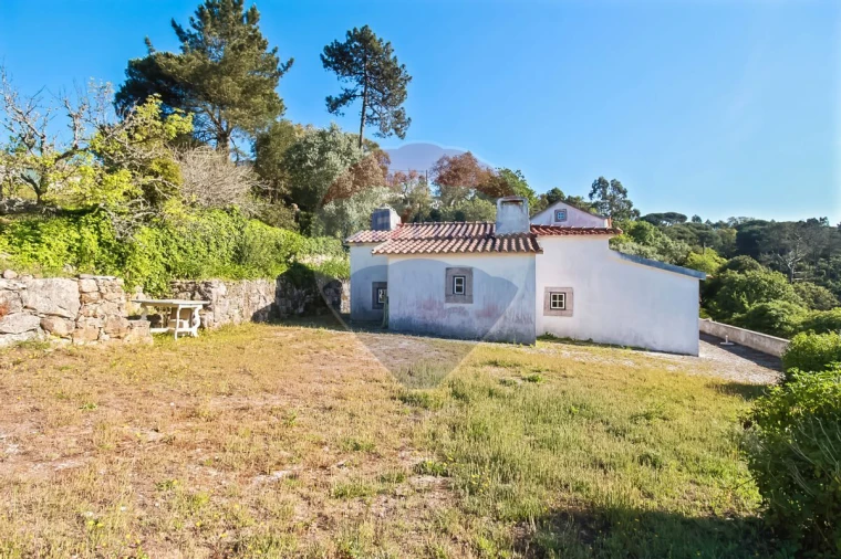 Quinta T3 para Venda em Mafra Foto 6