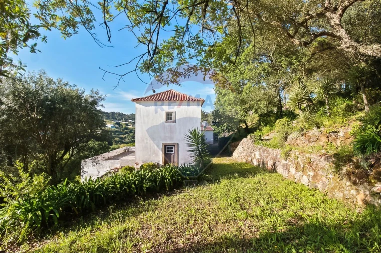 Quinta T3 para Venda em Mafra Foto 9