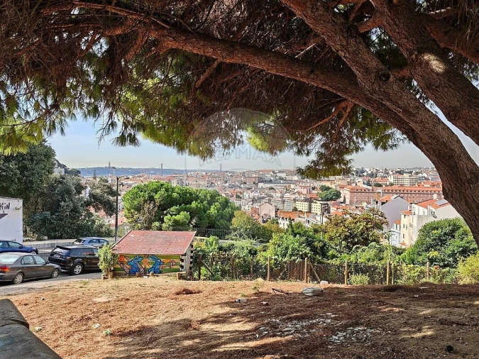 Apartamento T1 para Venda em Santa Maria Maior Foto 13
