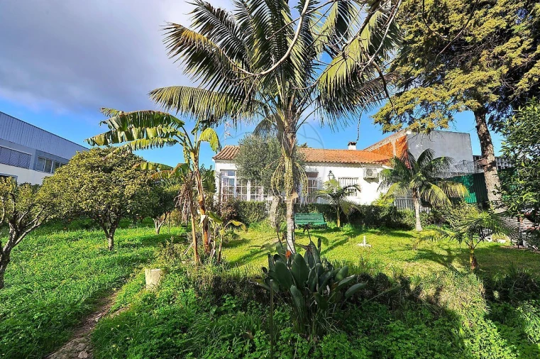 Armazém para Venda em Alcabideche Foto 14