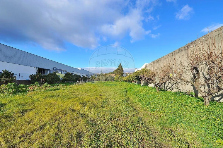 Armazém para Venda em Alcabideche Foto 6