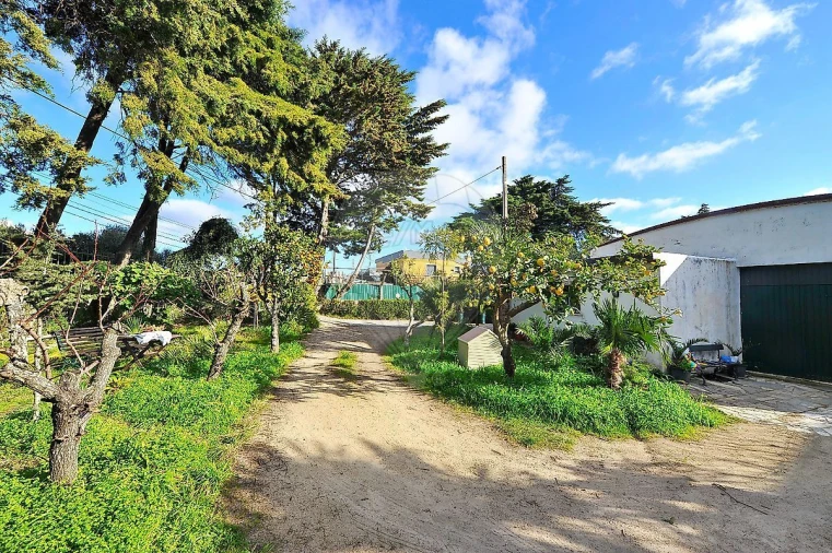 Armazém para Venda em Alcabideche Foto 16