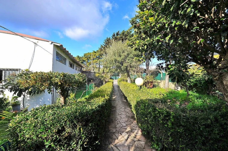 Armazém para Venda em Alcabideche Foto 13