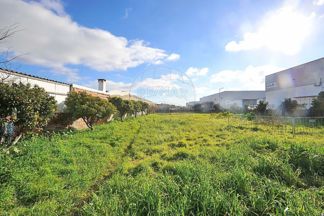Armazém para Venda em Alcabideche Foto 9