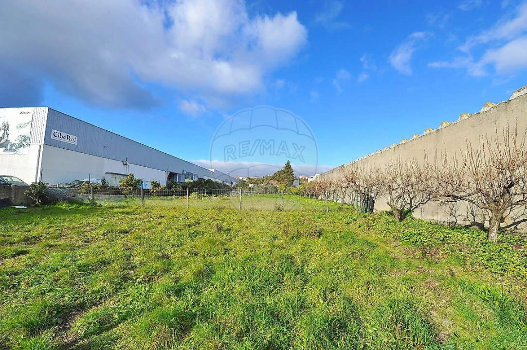 Armazém para Venda em Alcabideche Foto 11