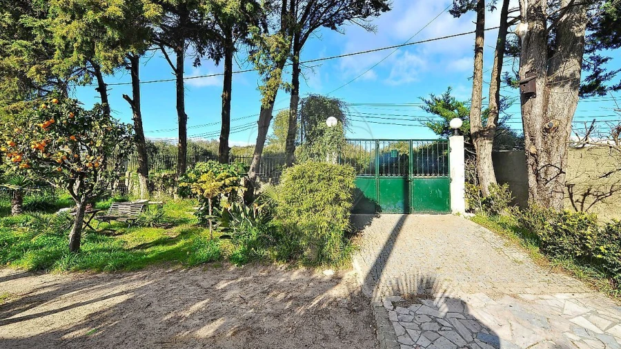 Armazém para Venda em Alcabideche