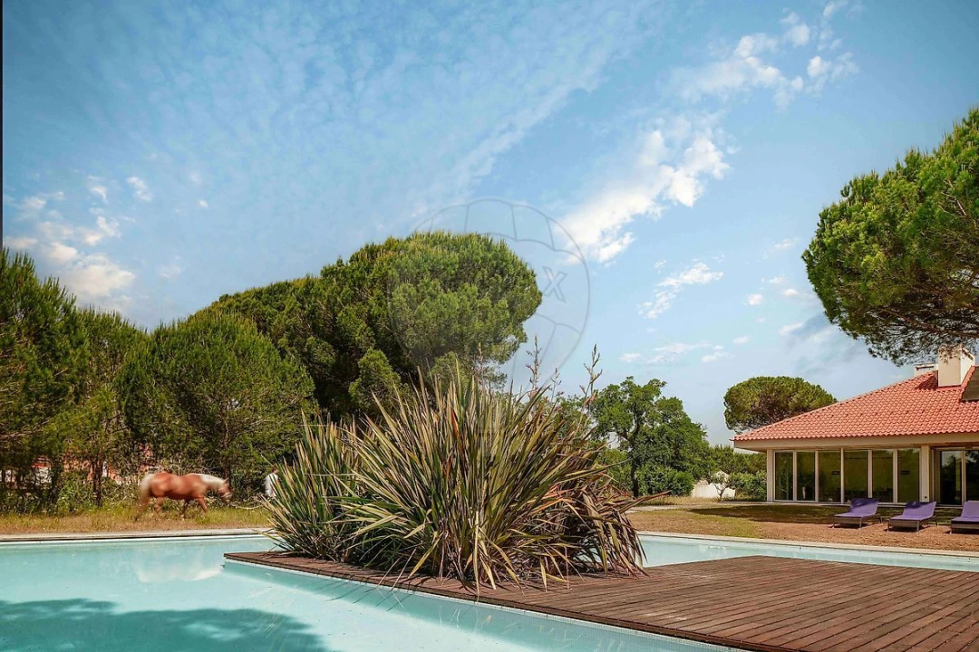 Moradia T5 para Venda em Santo Estêvão Foto 32