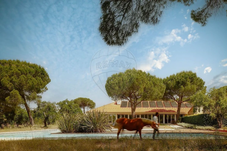 Moradia T5 para Venda em Santo Estêvão Foto 24