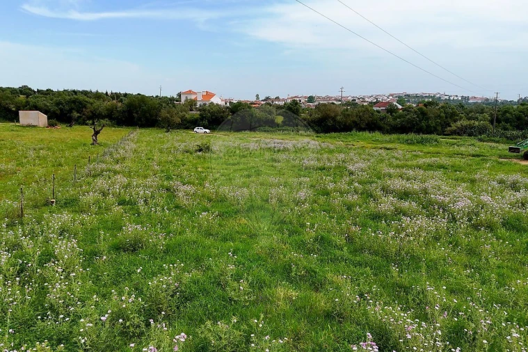Terreno para Venda em Alcaçovas Foto 6