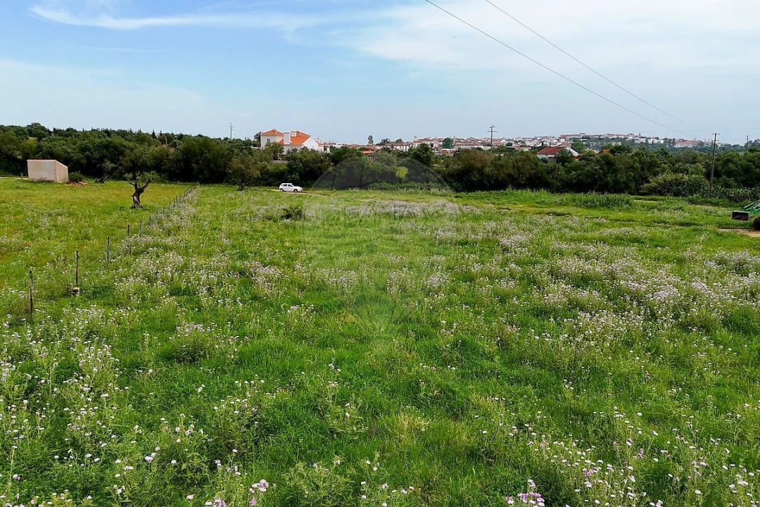Terreno para Venda em Alcaçovas Foto 6