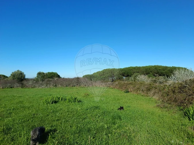 Terreno para Arrendamento em São João das Lampas e Terrugem Foto 3