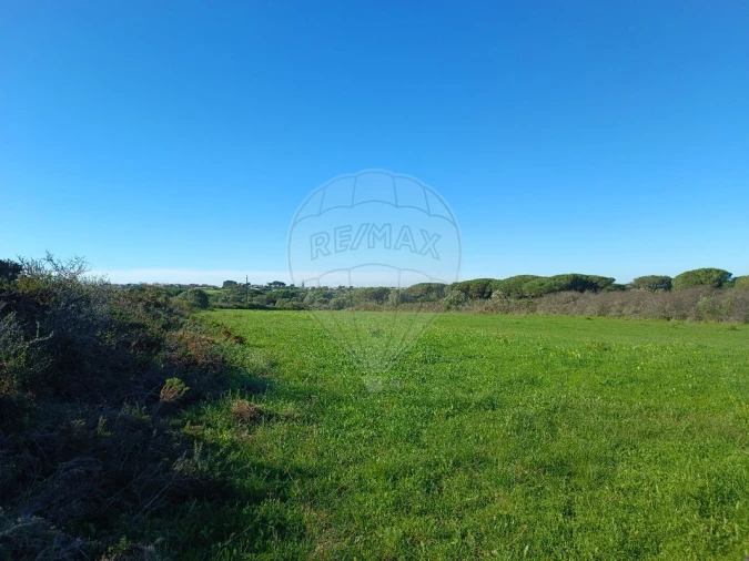 Terreno para Arrendamento em São João das Lampas e Terrugem Foto 2