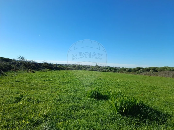 Terreno para Arrendamento em São João das Lampas e Terrugem Foto 4