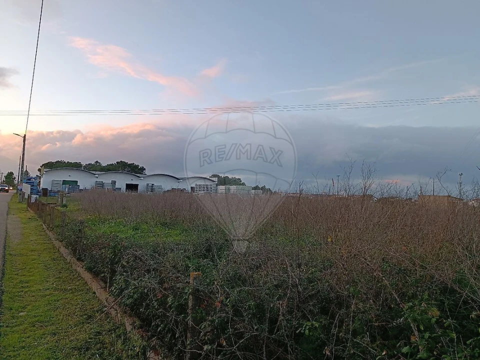Terreno para Venda em Benavente Foto 2