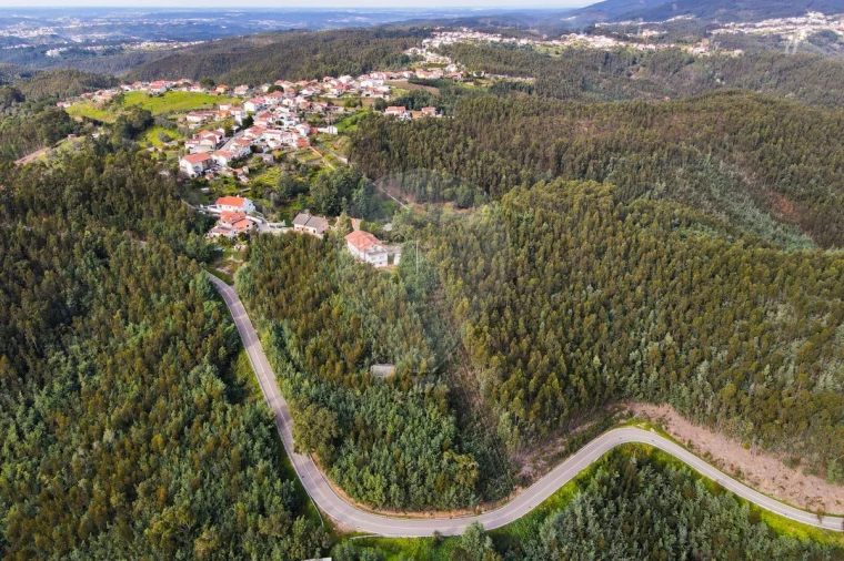 Loja para Venda em Torres do Mondego Foto 10