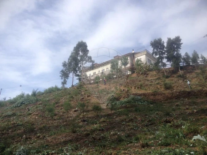 Loja para Venda em Torres do Mondego Foto 5