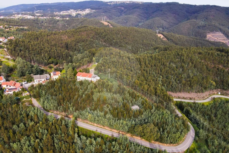 Loja para Venda em Torres do Mondego Foto 11