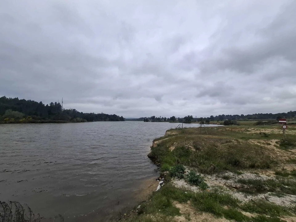 Terreno para Venda em Montargil Foto 19