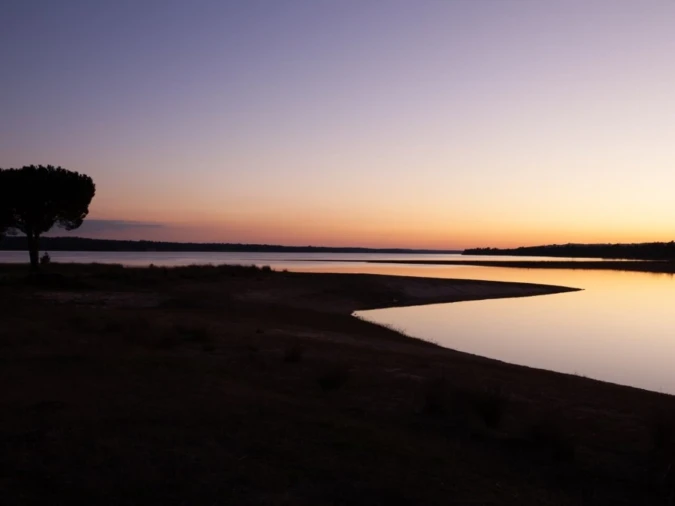 Terreno para Venda em Montargil