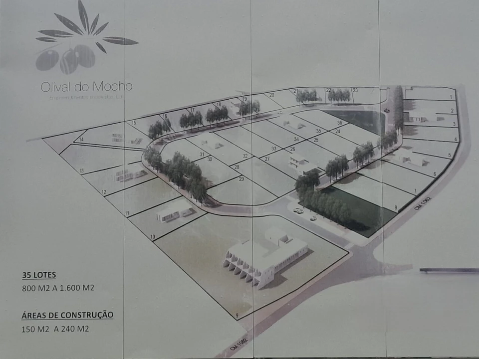 Terreno para Venda em Montargil Foto 14