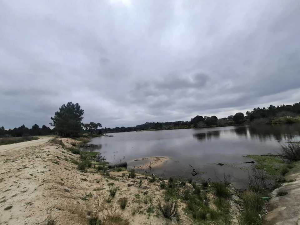 Terreno para Venda em Montargil Foto 22