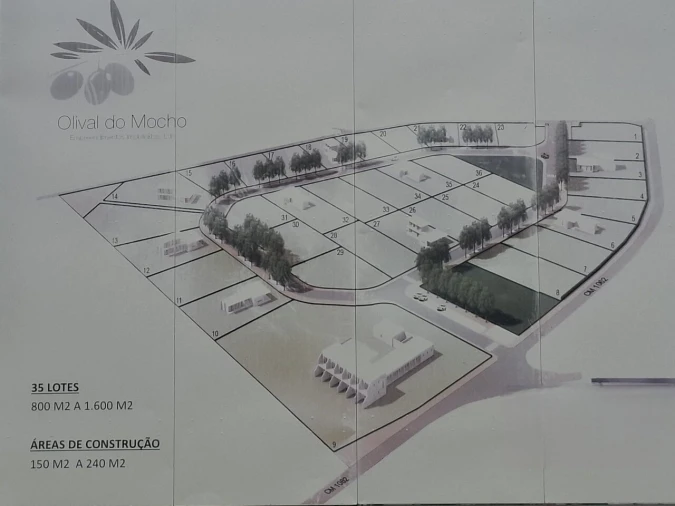 Terreno para Venda em Montargil Foto 14