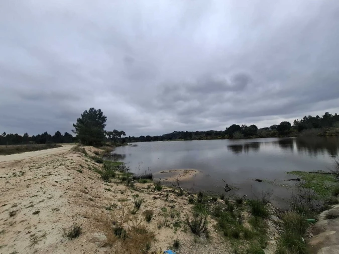 Terreno para Venda em Montargil Foto 20