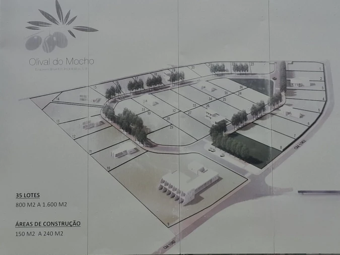 Terreno para Venda em Montargil Foto 12