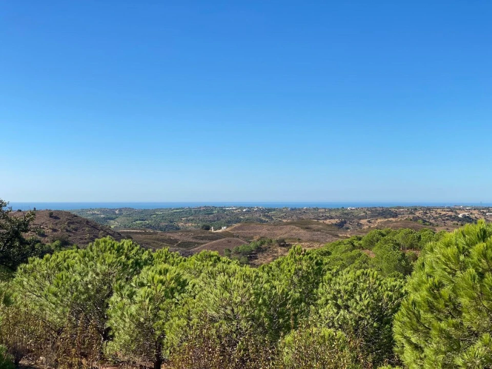 Prédio para Venda em Vila Real de Santo Antonio Foto 21