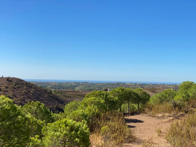 Prédio para Venda em Vila Real de Santo Antonio Foto 20