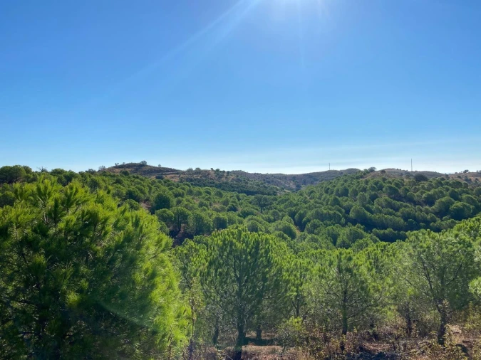 Prédio para Venda em Vila Real de Santo Antonio Foto 22