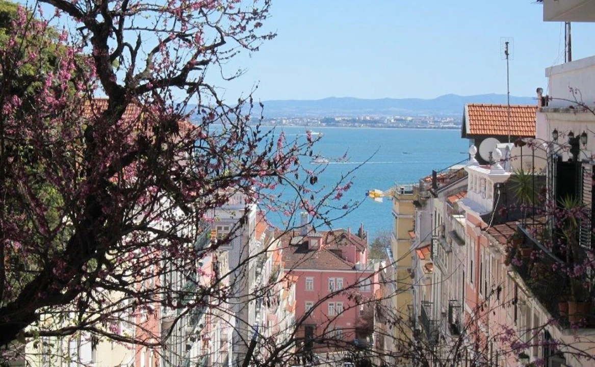 Loja para Venda em Estrela Foto 11