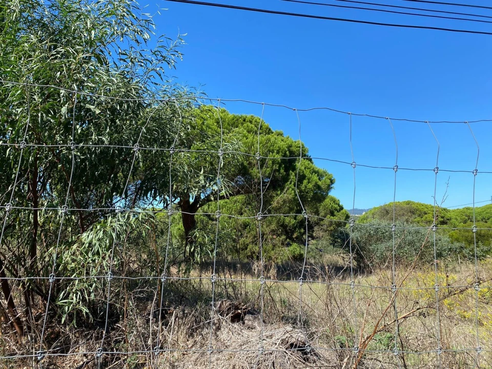 Terreno para Venda em Cascais e Estoril Foto 27
