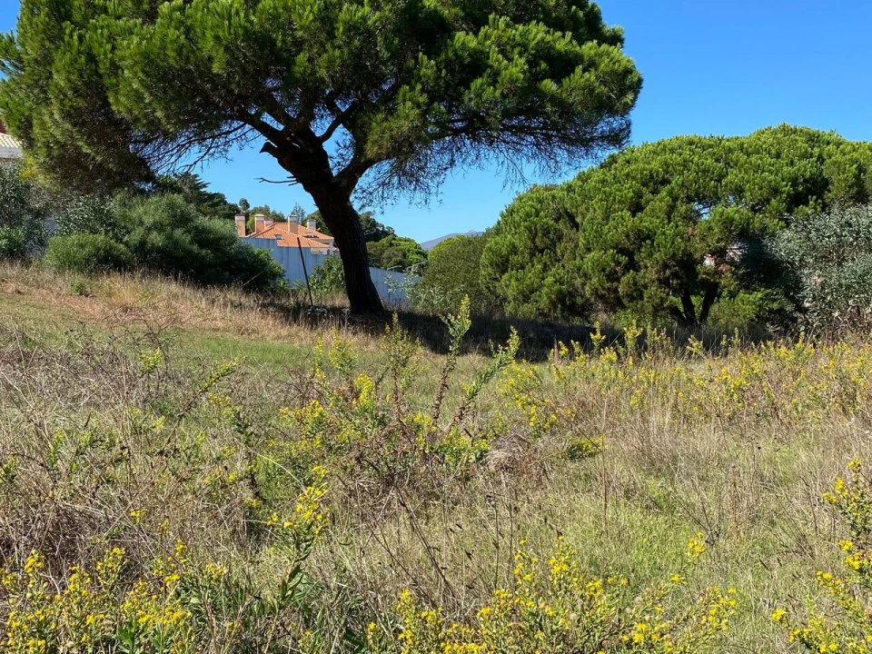 Terreno para Venda em Cascais e Estoril Foto 29