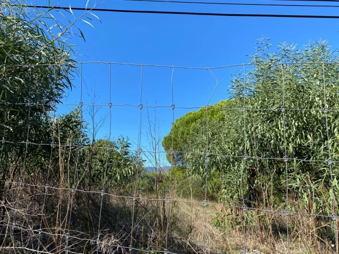 Terreno para Venda em Cascais e Estoril Foto 23