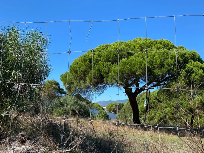 Terreno para Venda em Cascais e Estoril Foto 19